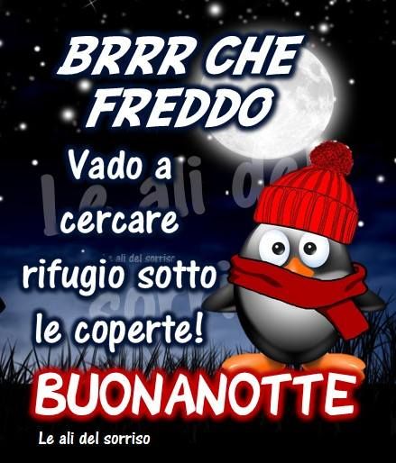 Buonanotte