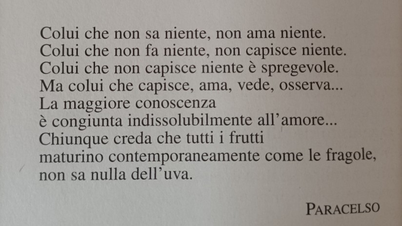 L'arte di amare - avere o essere? - Libro